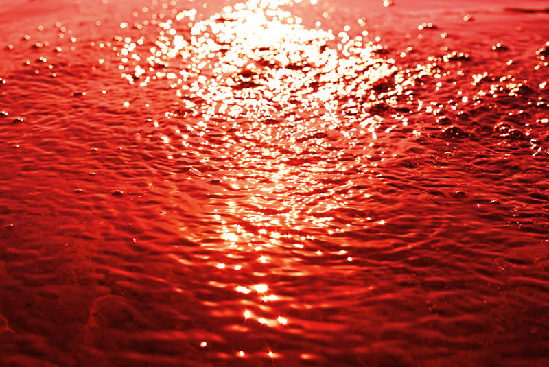 Hujan Ini Berwarna Merah Darah! KEJADIAN NYATA!